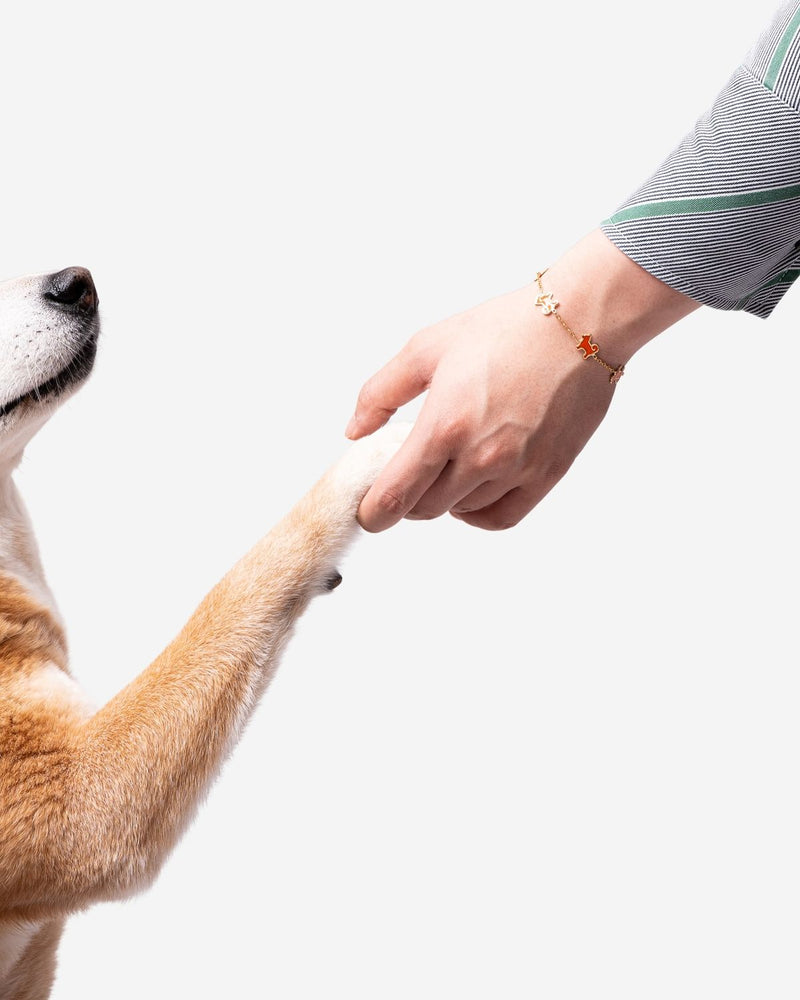 Pet Care
